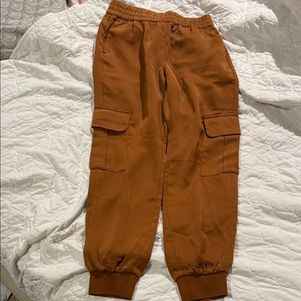 Rust colored Cargo Jogger Pants